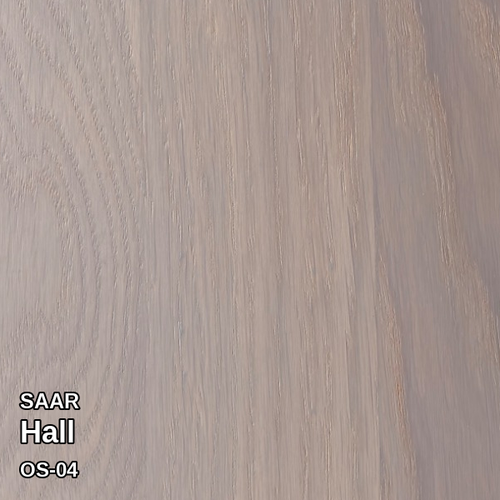 Saar Hall OS-04