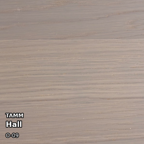 Tamm Hall O-09