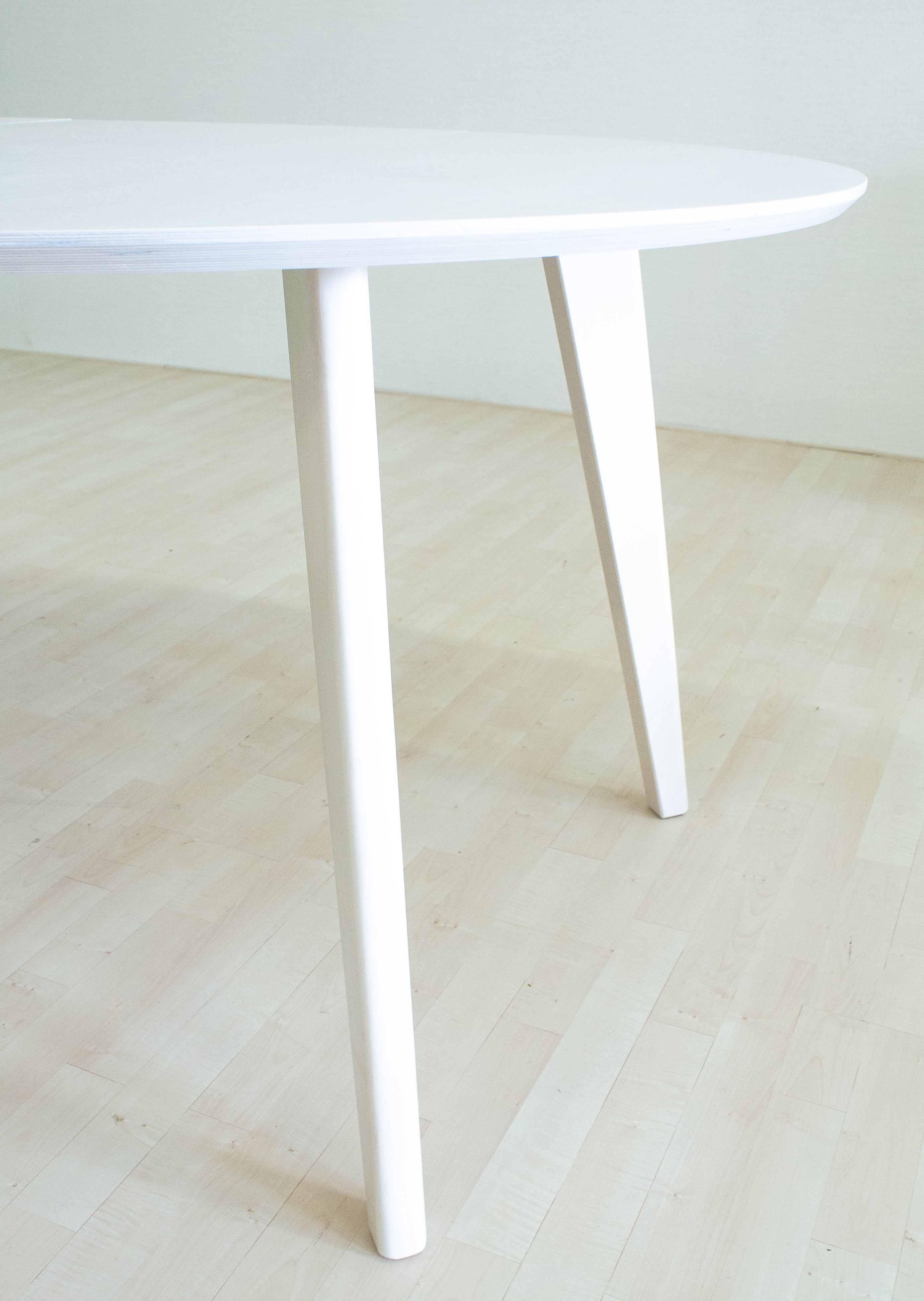 Pascal Laud 110 Pikendatav Kask ja Tamm